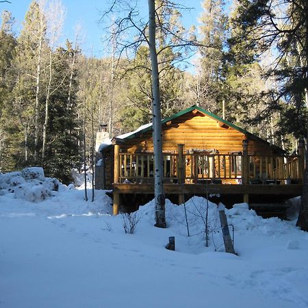 Cabin By The Creek With High Speed Wifi Red River Exterior photo