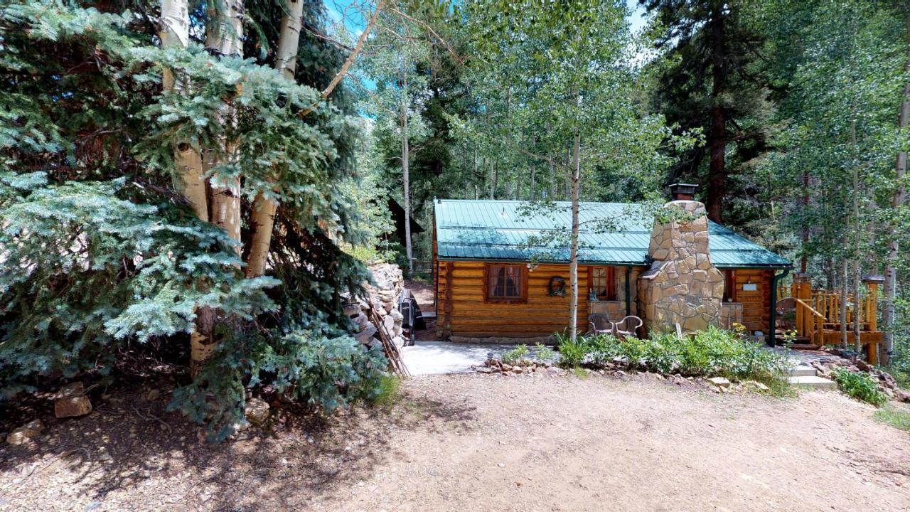 Cabin By The Creek With High Speed Wifi Red River Exterior photo