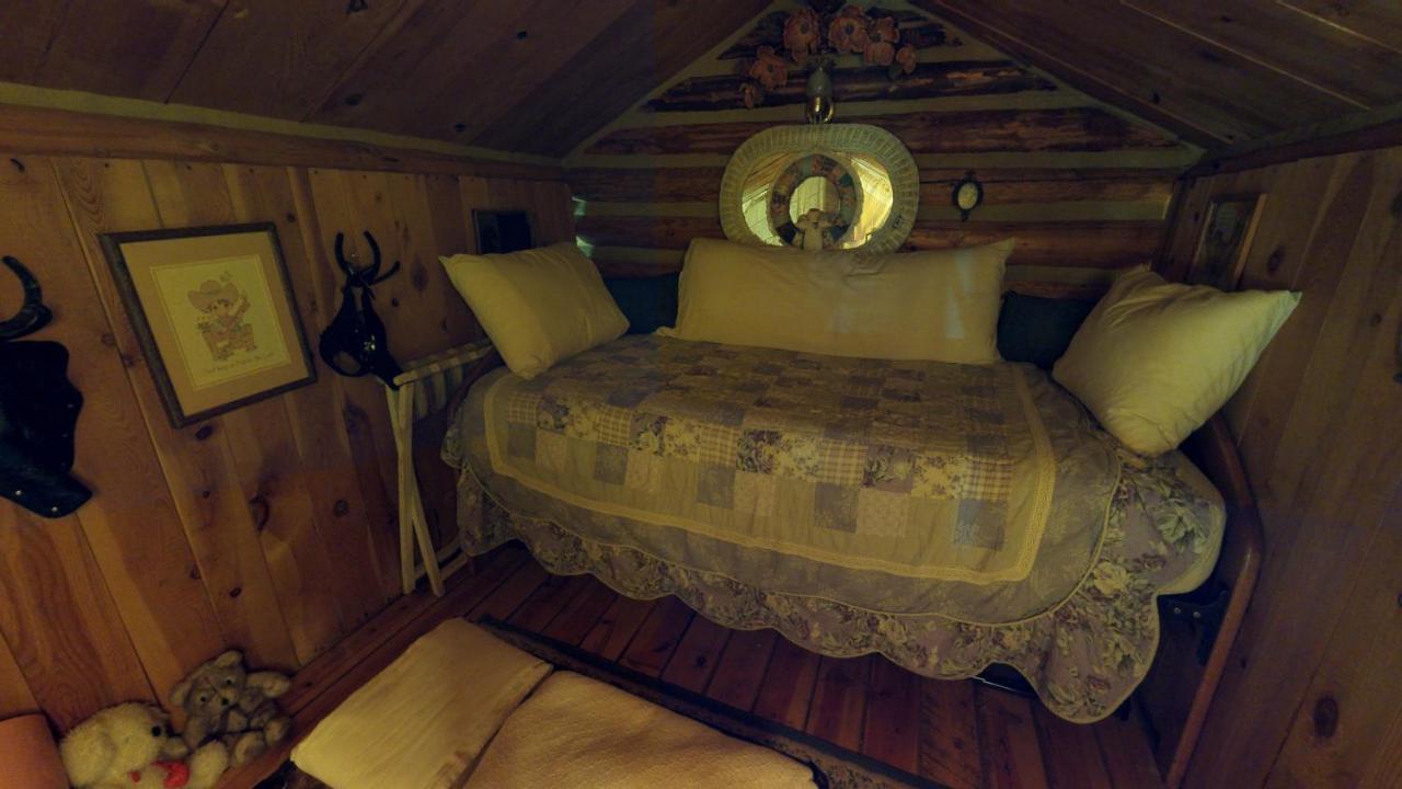 Cabin By The Creek With High Speed Wifi Red River Exterior photo