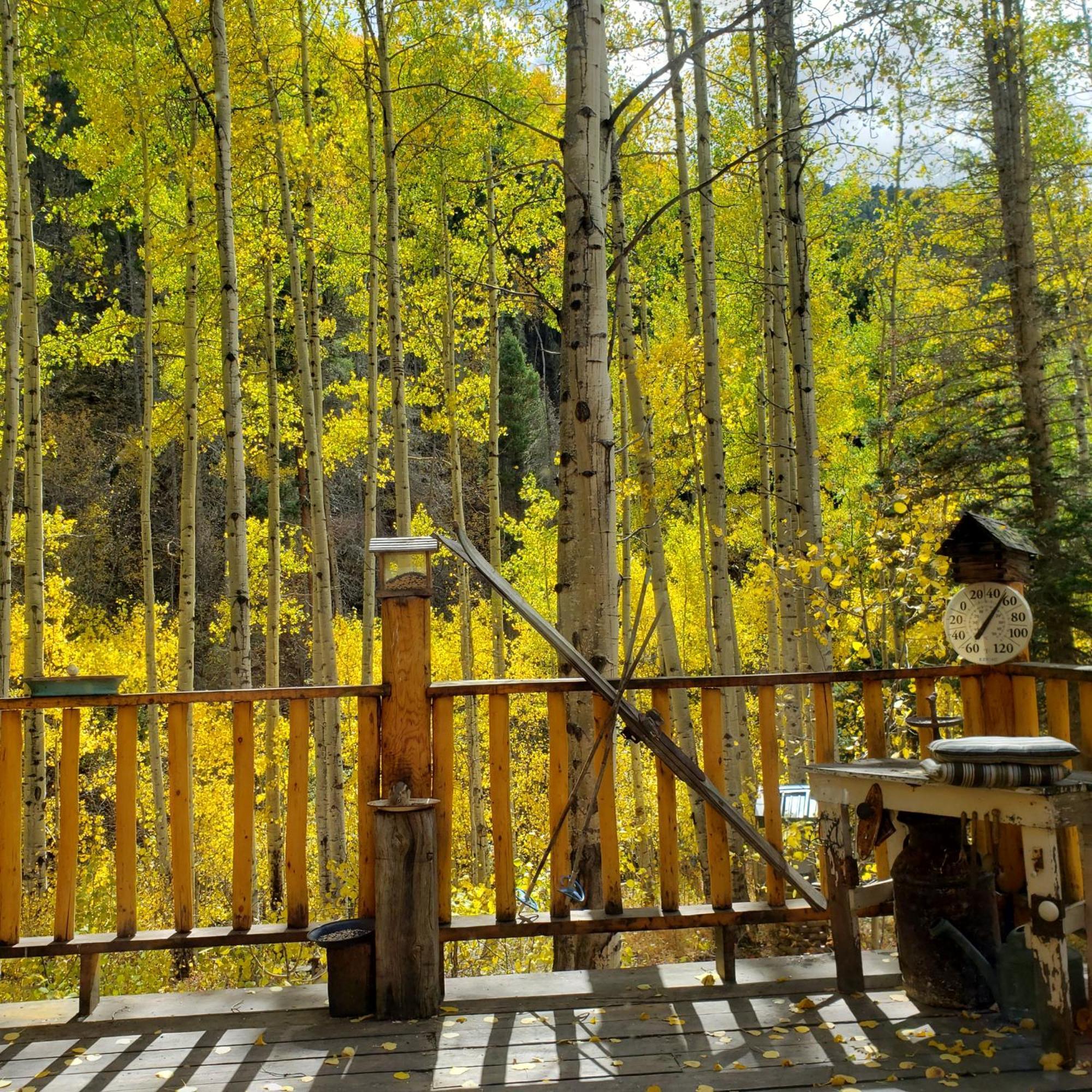 Cabin By The Creek With High Speed Wifi Red River Exterior photo