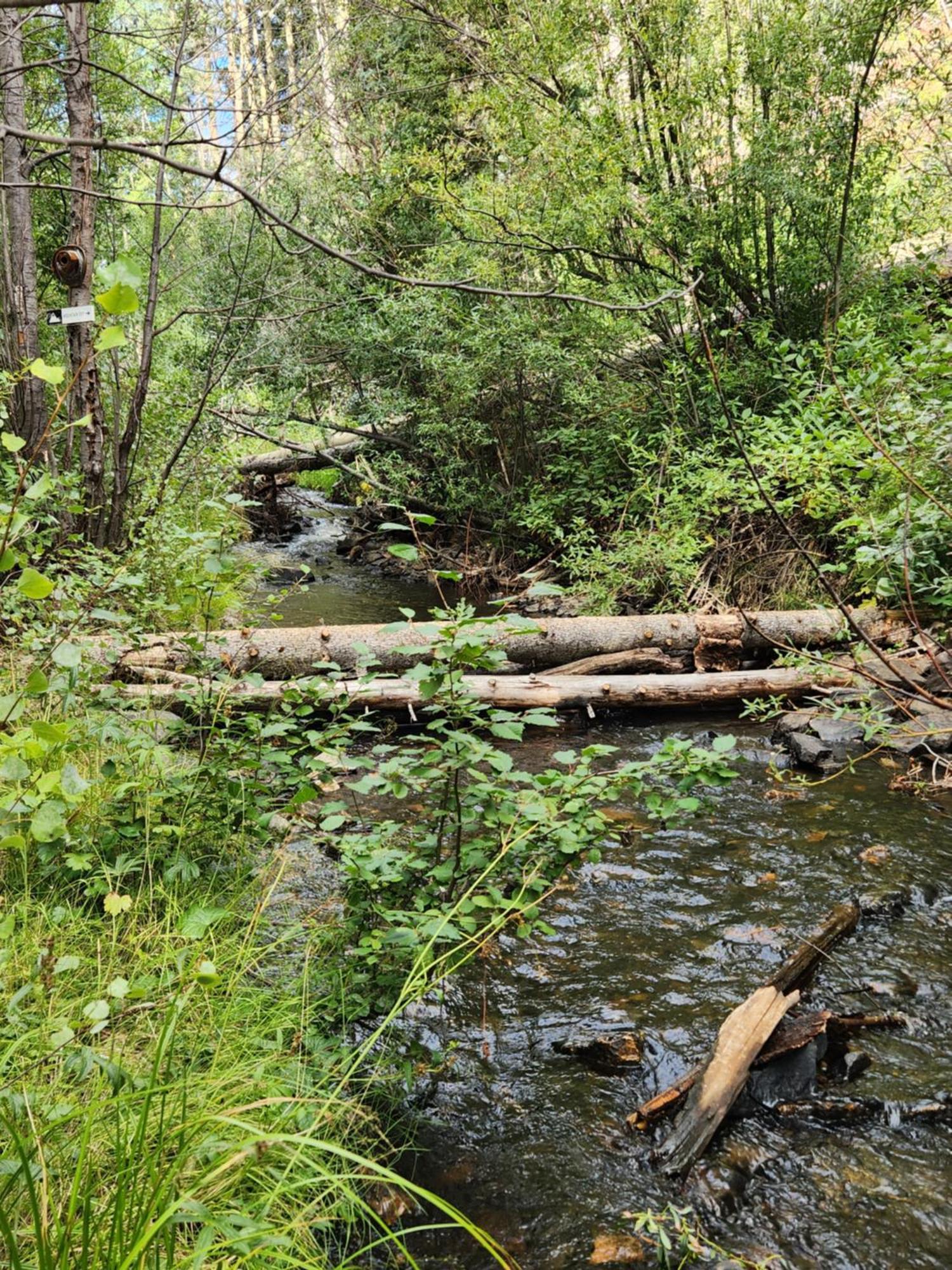 Cabin By The Creek With High Speed Wifi Red River Exterior photo